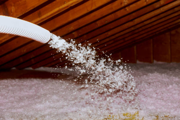 Best Insulation for Commercial Buildings  in Ringgold, GA